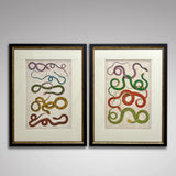 Pair of 18th Century Hand Coloured Serpent Engravings - Main View - 1