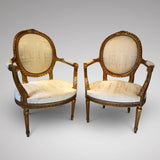 Pair of 19th Century French Chairs - Hobson May Collection - 1