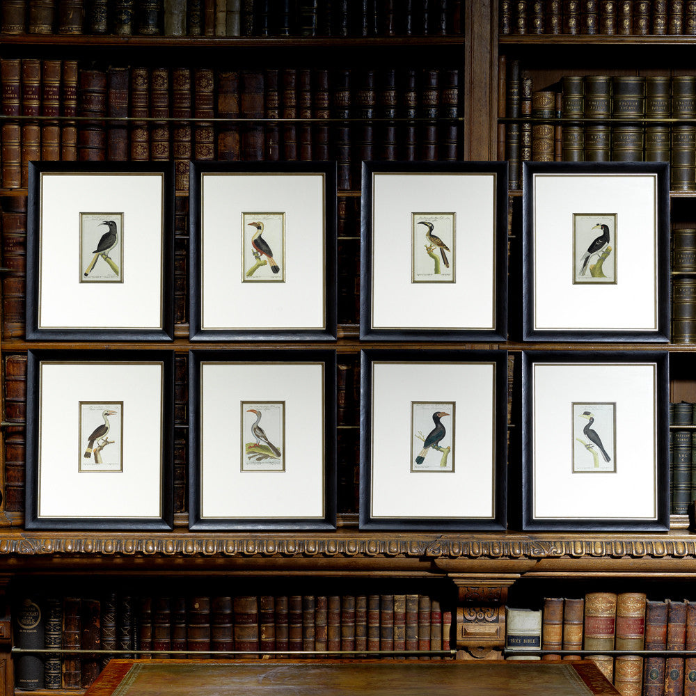Set of 8 18th Century Ornithological Engravings by Buffon - Main View - 1