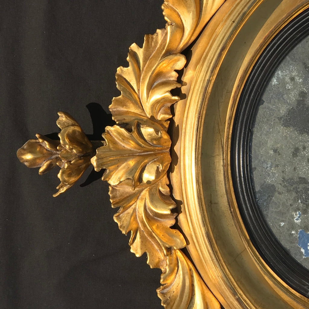 Regency Carved & Gilded Convex Mirror - Detail View - 7