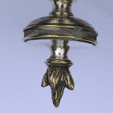 Regency Silvered Brass Urn Shaped Coal Bin -  View of Finial - 10