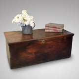 19th Century Elm Chest/Coffee Table - Front View