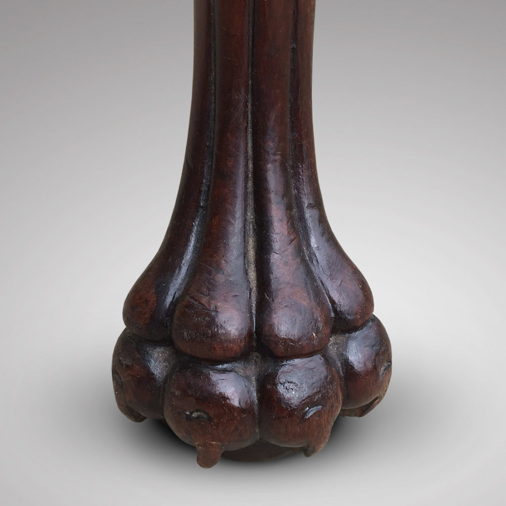 19th Century Mahogany Elbow Chair - Detail View of Paw Foot- 6