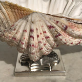 Scottish Silver Mounted Shell Table Decoration - Back Detail View - 7