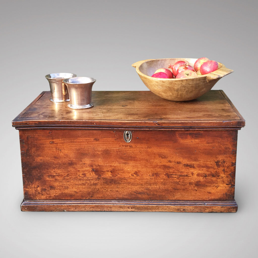 19th Century Elm Trunk/Coffee Table - Front View - 1
