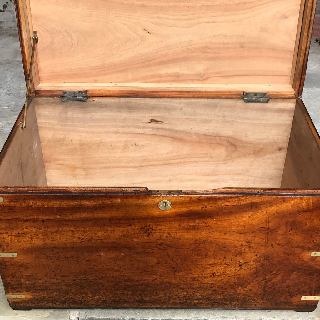 19th Century Camphor Campaign Trunk - Inside View - 7
