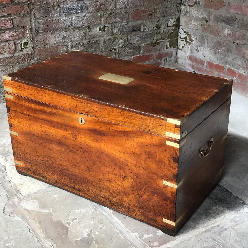 19th Century Camphor Wood Campaign Trunk - Front & Top View -9