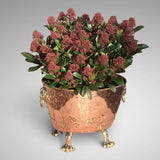 19th Century Copper Jardiniere with Lion Mask Handles - Main View - 1