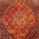 Stunning Large Pure Wool Tabriz Carpet - Detail View - 3