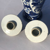 Pair of 19th Century Blue & White Chinese Vases with Covers - Detail View -4