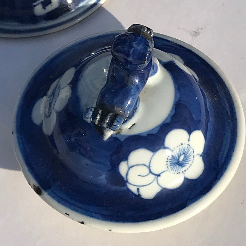 Pair of 19th Century Blue & White Chinese Vases with Covers