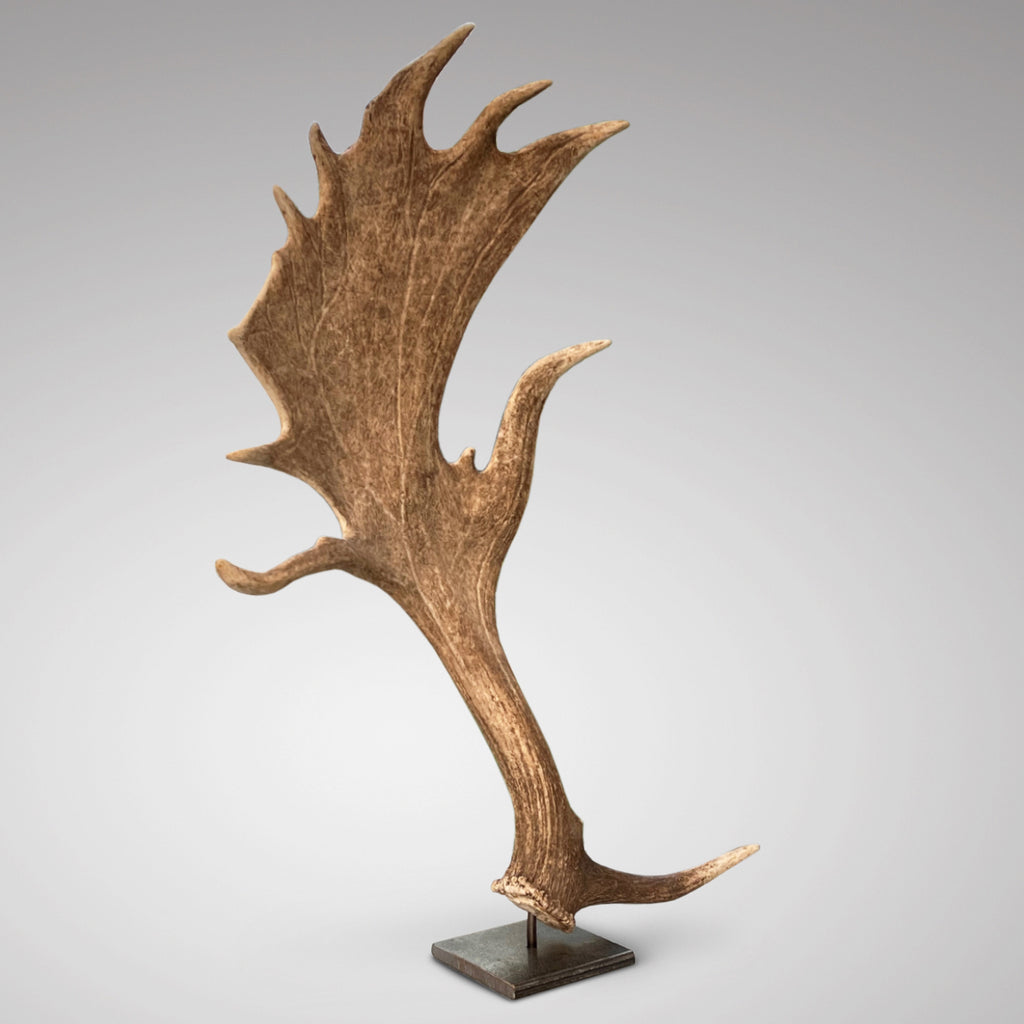 Decorative Deer Antler on Stand - Main View - 2