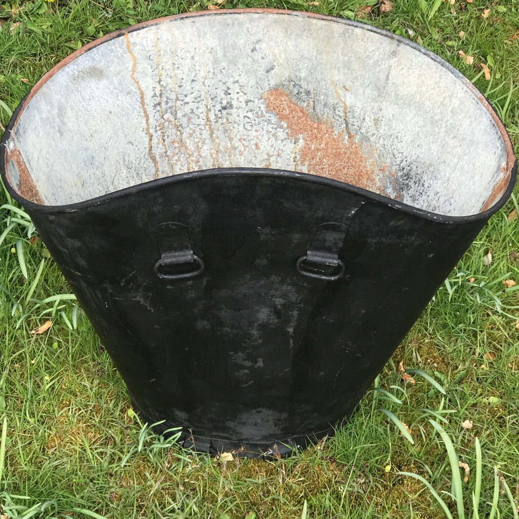 Early 20th Century French Grape Hod - Back View - 2