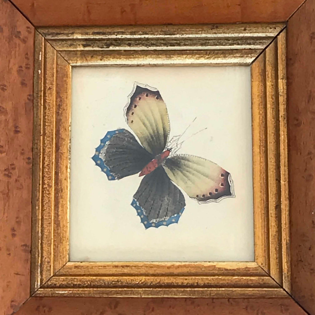 Victorian Butterfly Watercolour in Maple Frame - Main View - 2
