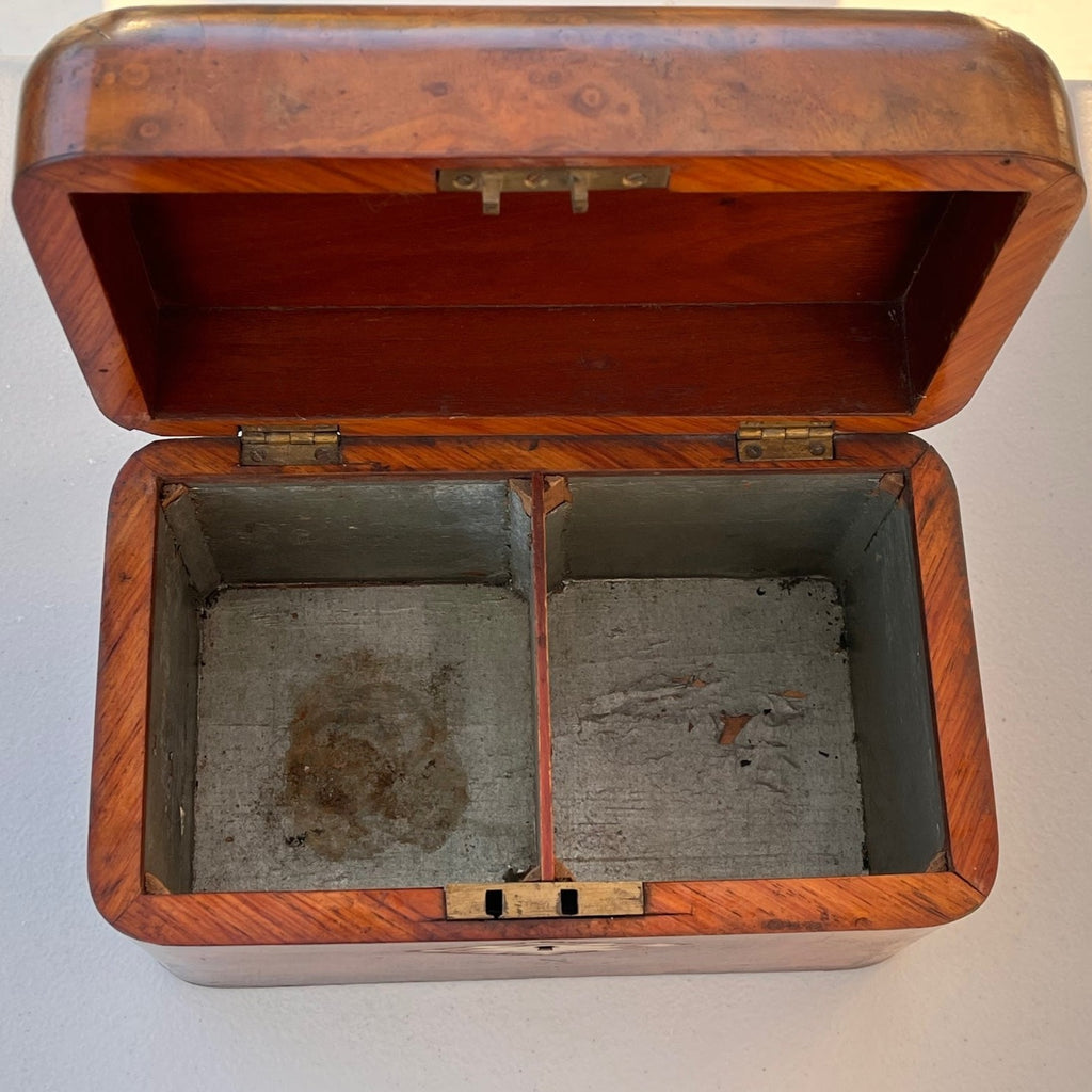 19th Century Burr Walnut Tea Caddy - Inside View - 4