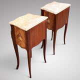 A Stunning Pair of Antique French Bedside Tables - Back View - 3