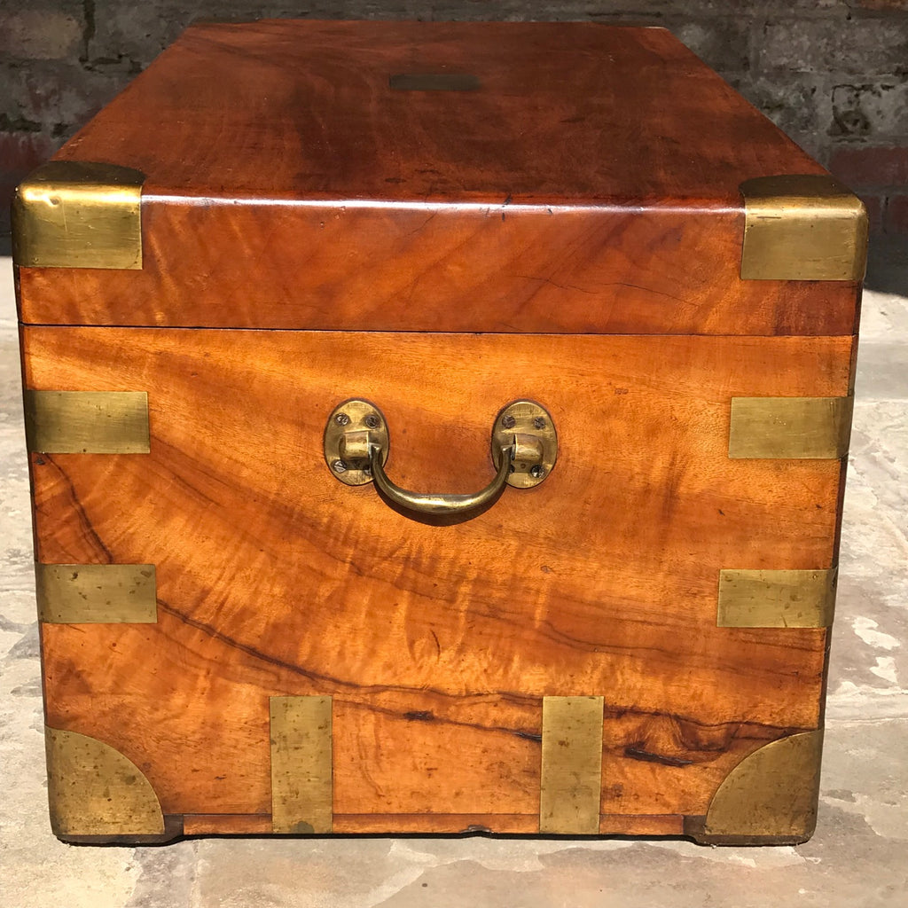 19th Century Camphor Wood Campaign Trunk - Side View - 3