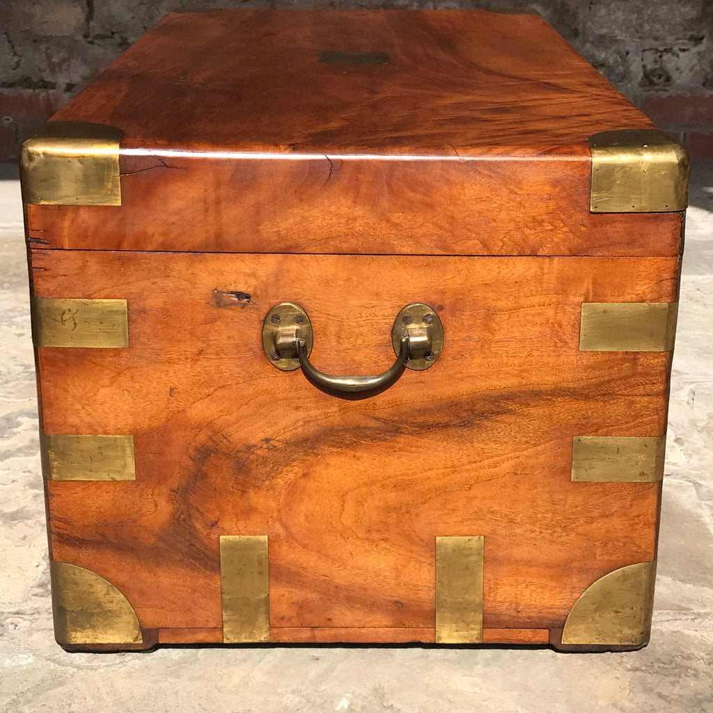 19th Century Camphor Wood Campaign Trunk Side View - 4