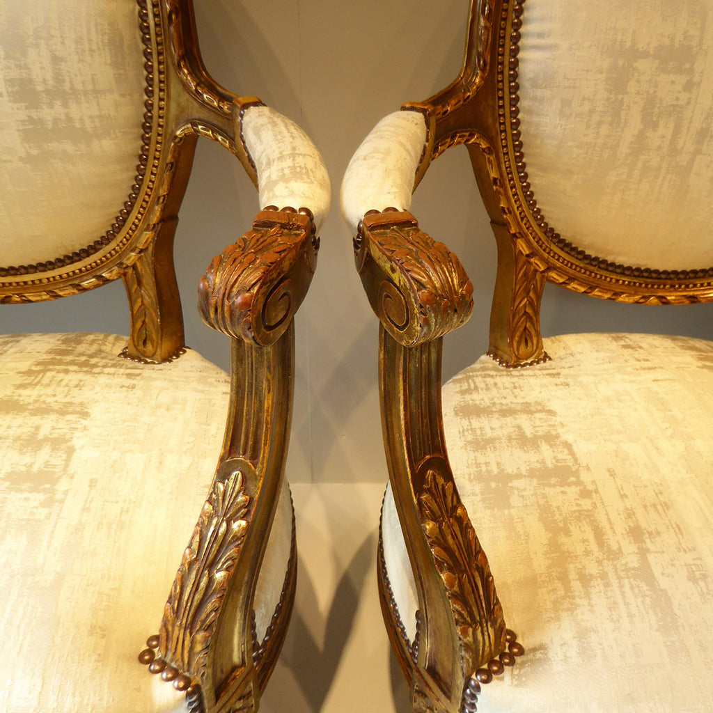 Pair of 19th Century French Chairs - Hobson May Collection - 2